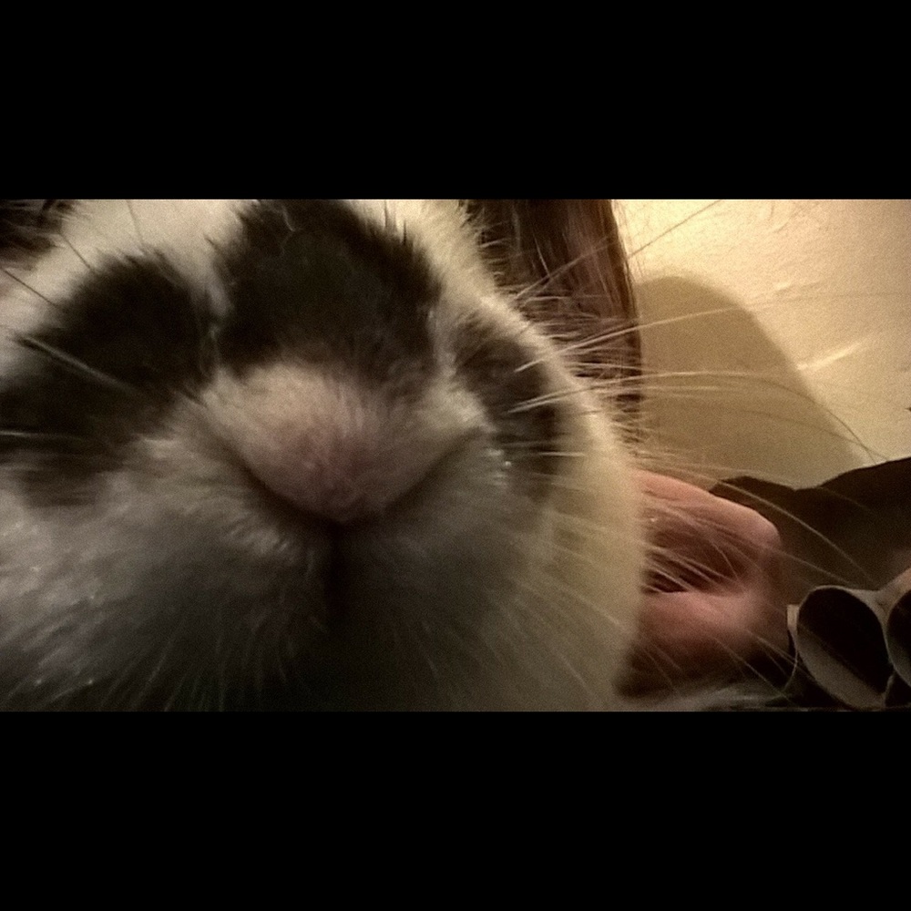 Meet your Posher, Mirinda